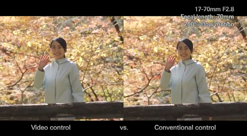 扬幂性做爰A片免费看