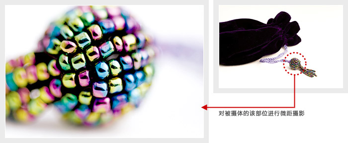 扬幂性做爰A片免费看