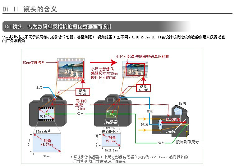 扬幂性做爰A片免费看