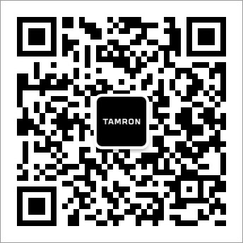 扬幂性做爰A片免费看