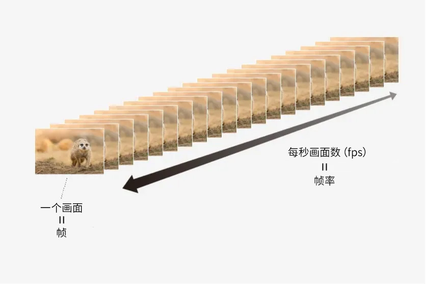 扬幂性做爰A片免费看