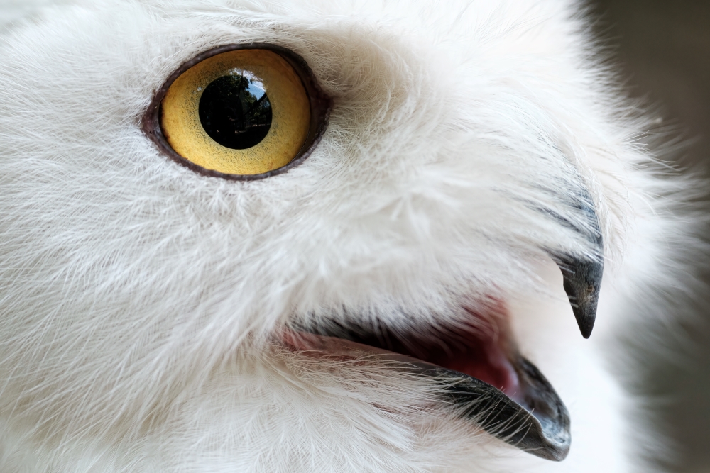 Photo taken by TAMRON Ultra-telephoto Zoom lens