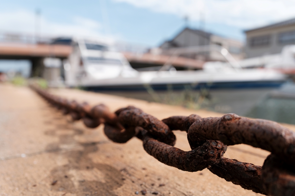 Photo taken by TAMRON All-in-one Zoom lens