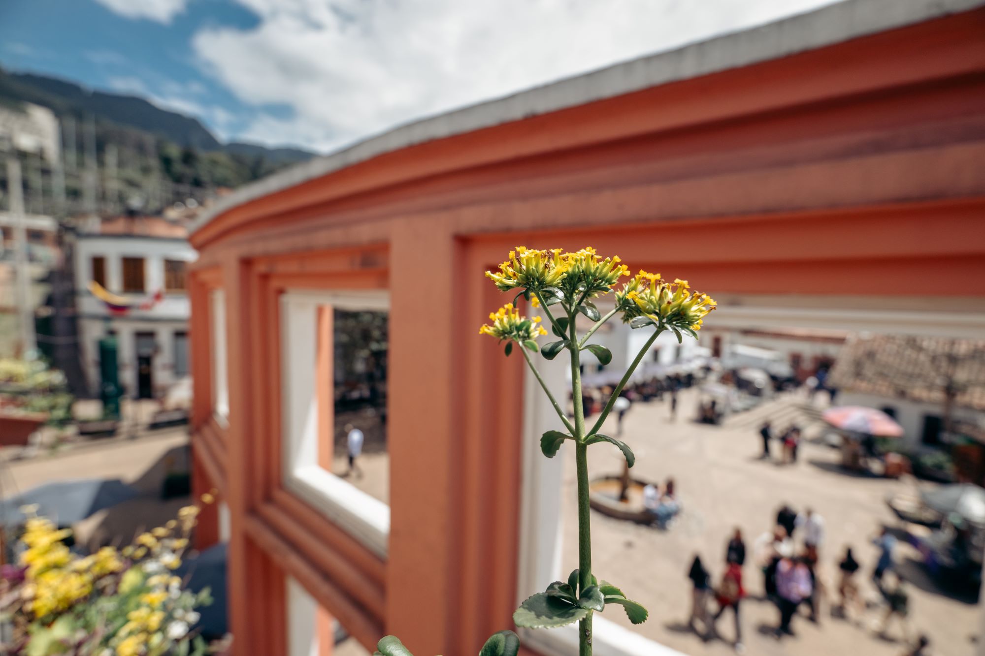 Photo taken by TAMRON Wide Angle Zoom Lens